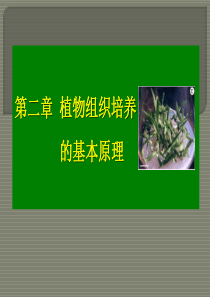 第二章植物组织培养原理.