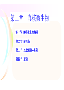 第二章真核微生物的形态结构和功能