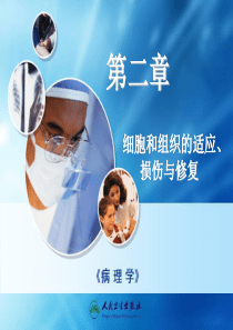 第二章组织损伤修复与适应.