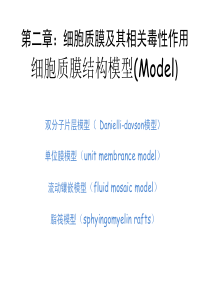 第二章细胞质膜及其相关细胞毒性机制