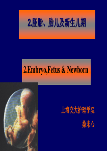 第二章胚胎胎儿及新生儿期