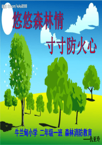 森林防火安全教育ppt课件