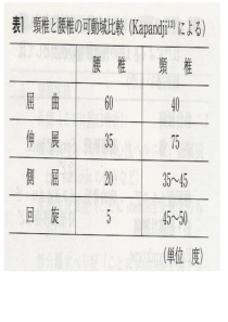 第二节颈椎病的康复.