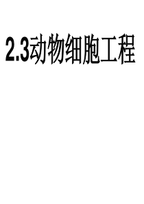 动物细胞组织培养(精)
