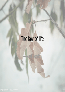 The-law-of-life