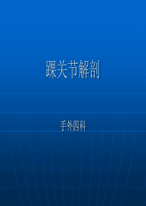 手外科踝关节解剖课件