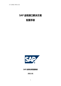 SAP金税接口解决方案-配置手册-v0.1-CN(2013)