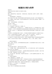 细菌的分离与培养