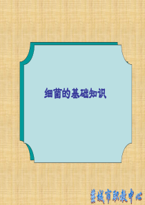 细菌的基础知识
