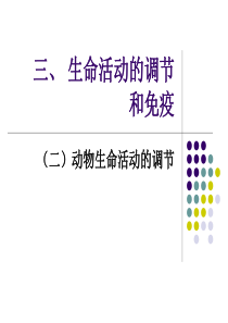 动物生命活动的调节.ppt