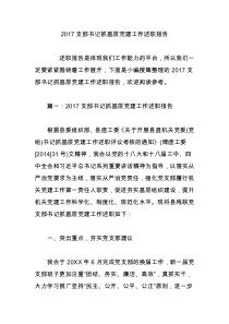 2017支部书记抓基层党建工作述职报告