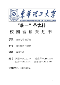 统一营销策划书
