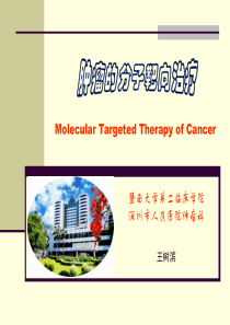 肿瘤分子靶向治疗-王树滨