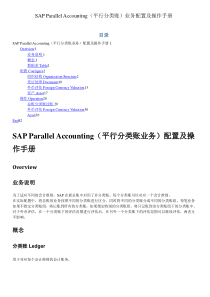 平行分类账配置与操作