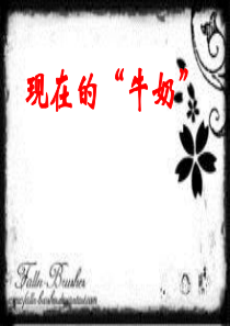 综合小组报告