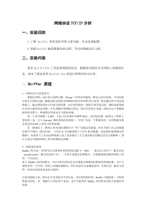 网络协议TCP-IP分析