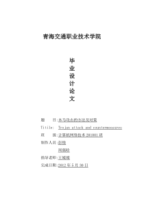 网络攻击的方法及对策初探