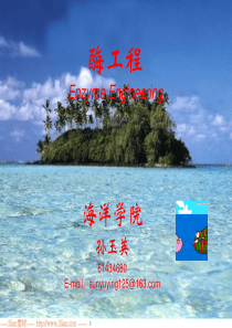 酶工程 第一章：绪论