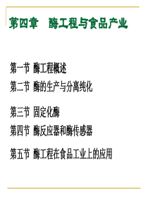 酶工程与食品产业