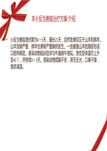 羊小反刍兽疫治疗方案