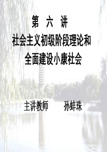 社会主义初级阶段和全面建设小康社会09上.