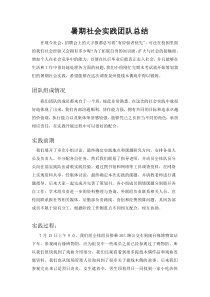 社会实践团队总结