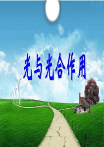 5.4.2光合作用的探究历程、原理和应用2