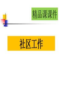 社区工作精品课课件(全套).