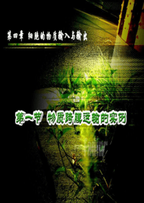 高中生物-物质跨膜运输实例精品课件