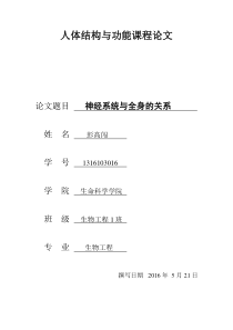 神经系统与全身彭高闯