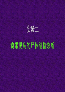禽常见病的尸体剖检