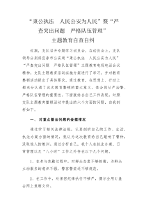 秉公执法人民公安为人民主题教育自查自纠