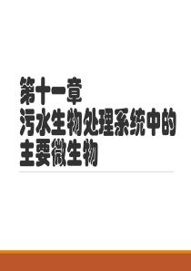 第11章污水生物处理系统中的主要微生物