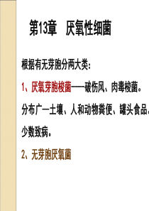 第12章厌氧性细菌.