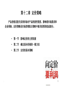 第12章定价策略.