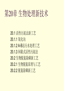 第20章生物处理新技术.