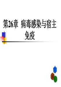 第26章病毒的感染与免疫.