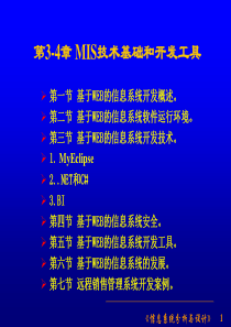 第3-4章MIS技术基础和开发工具