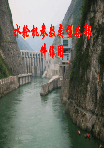 第3期水轮机基本概述