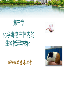 第3章化学毒物在体内的生物转运与转化