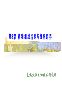第3章植物组织培养与细胞
