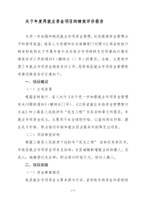 关于2018年度再就业资金项目的绩效评价报告