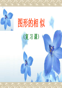 图形的相似的复习课ppt