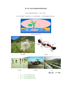 第六章农业生态系统的信息流和资金流