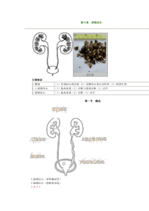 第六章尿路结石