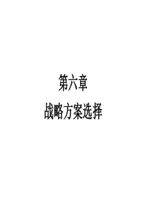第六章战略方案选择