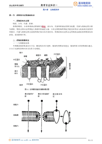 第六章生物药剂学