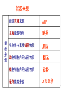 高一生物必修一细胞呼吸PPT