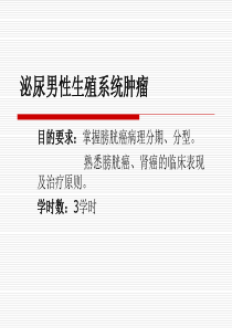 男性泌尿生殖系统肿瘤肾肿瘤课件。