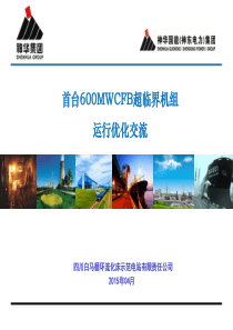 白马-首台600MWCFB超临界机组优化运行交流.